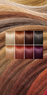 Global Hair Colour